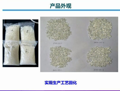 国产新型长碳链聚酰胺弹性体及其鞋材领域的应用