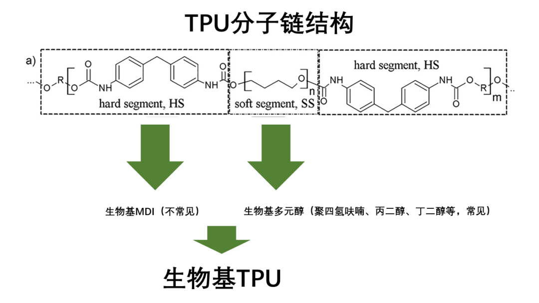 生物基弹性体材料成鞋材应用热点之一