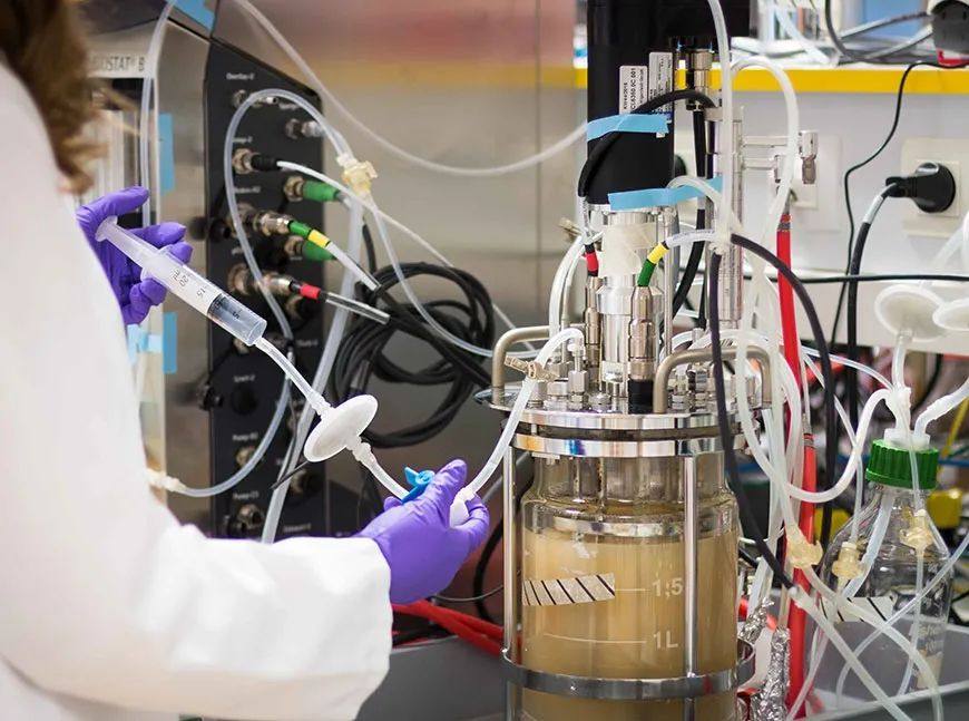 Avient的可持续医疗保健解决方案中新加入了生物基TPE，用于生物制药管材