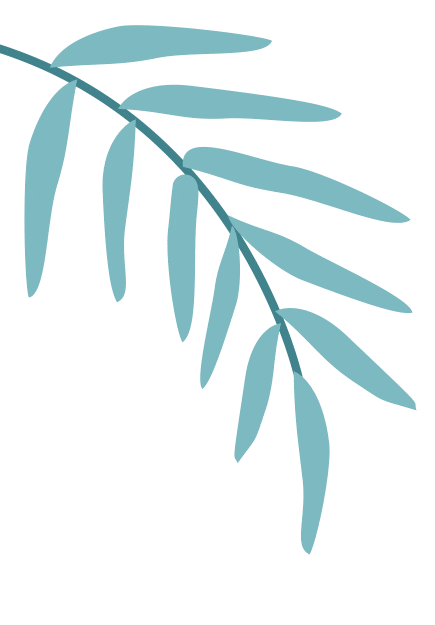 想让化妆品包装设计更出众?埃万特带您稳抓第一眼 想让化妆品包装设计更出众?埃万特带您稳抓第一眼