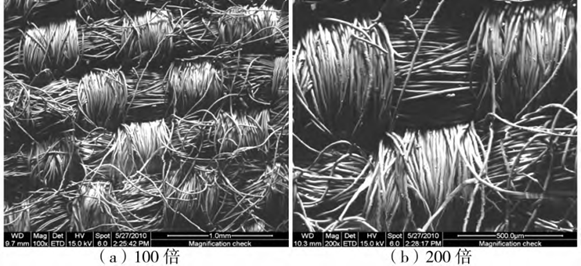 碱性制氢电解槽隔膜的PPS纤维对比：短纤 VS 长丝
