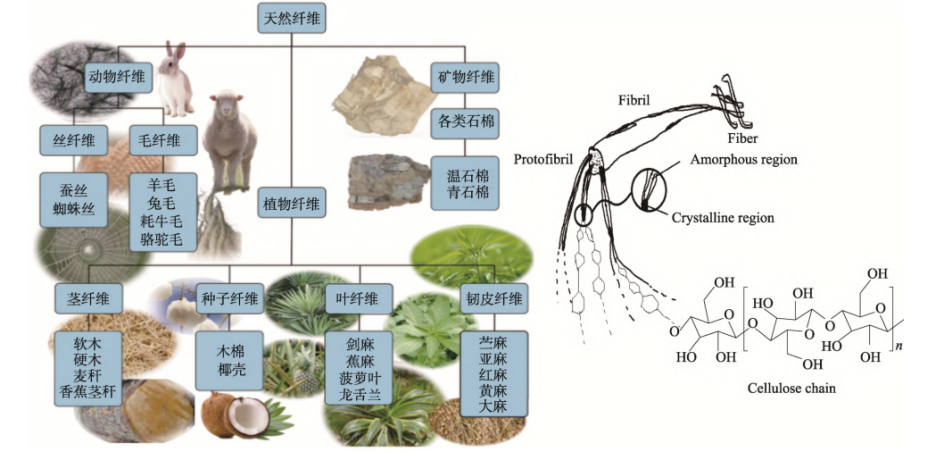 天然纤维素增强聚乳酸复合材料的特点及性能