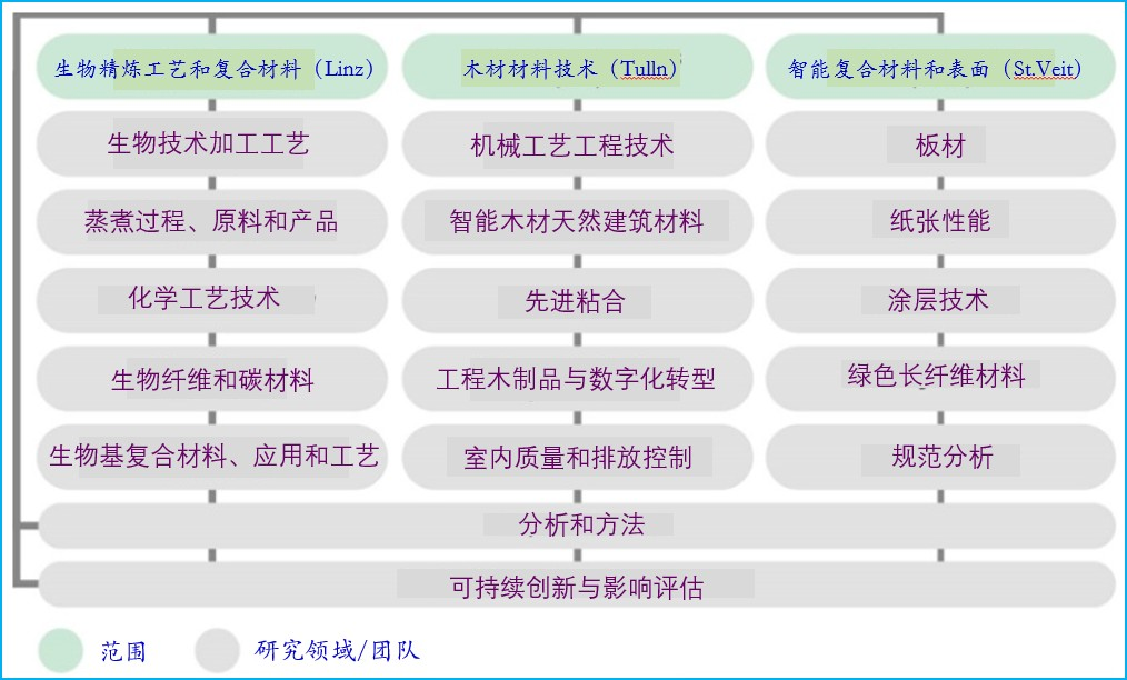 用木质聚合物复合材料获得生物基SiC陶瓷