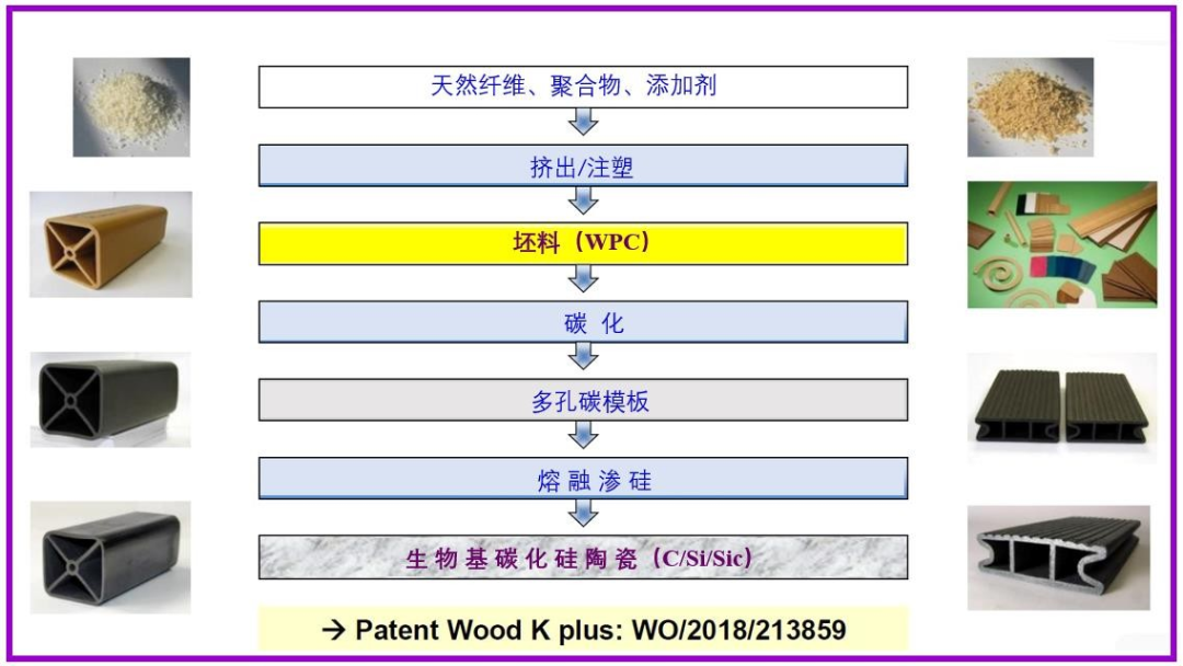 用木质聚合物复合材料获得生物基SiC陶瓷