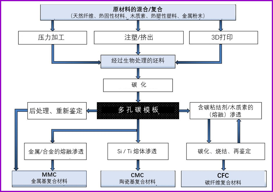 用木质聚合物复合材料获得生物基SiC陶瓷