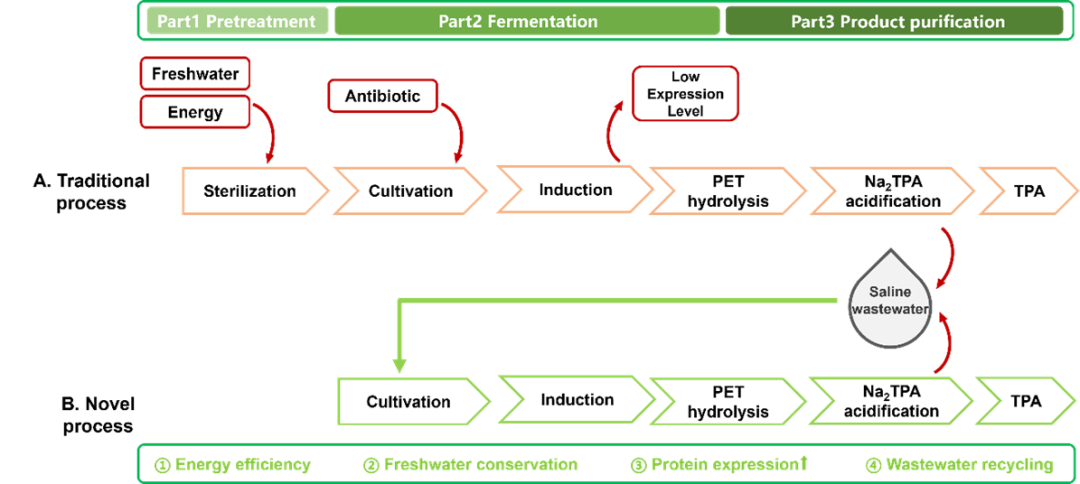 “PET的生物回收”入选化学领域十大新兴技术，TA有什么来头？