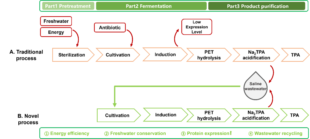 源天生物最新成果：一种具有工业应用潜力的新型PET生物回收工艺