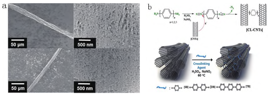 ​碳纳米管纤维的制备及其在柔性器件上的应用