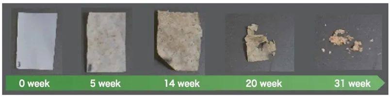 三菱化学集团新开发可降解生物聚酯树脂