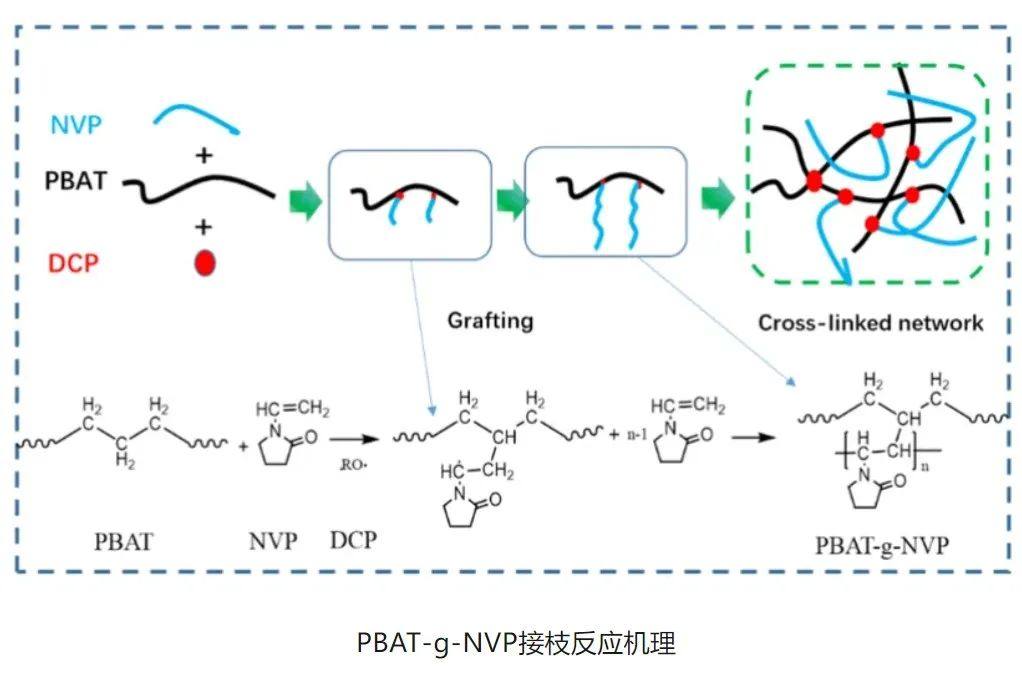 青岛科技大学张振秀教授：PBAT可以造鞋，超临界发泡新进展