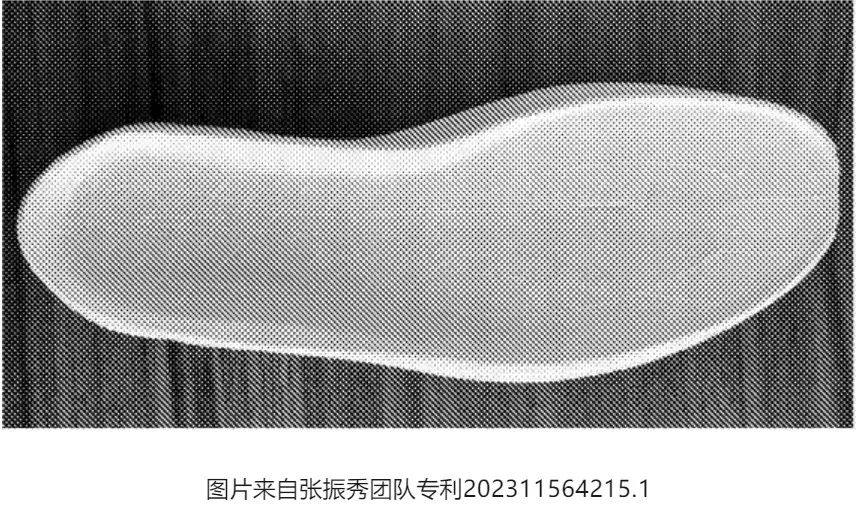 青岛科技大学张振秀教授：PBAT可以造鞋，超临界发泡新进展