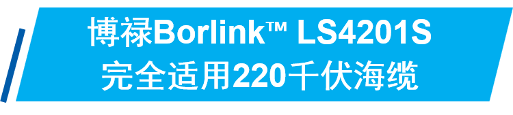 博禄BORLINK™ LS4201S助力粤港澳大湾区首个百万千瓦级海上风电基地建设