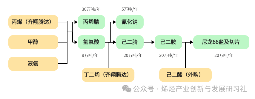 最新！国内外尼龙66产业链（己二腈、己二胺、尼龙66等）重要企业情况一览