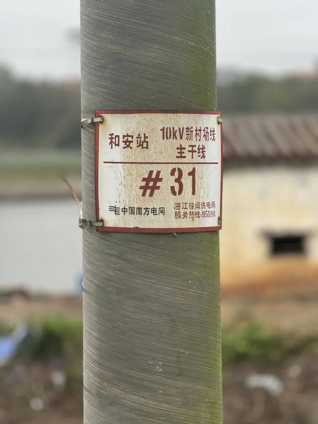 “摩羯”过境，揭开Elastolit® 复合材料电线杆“不倒”之谜