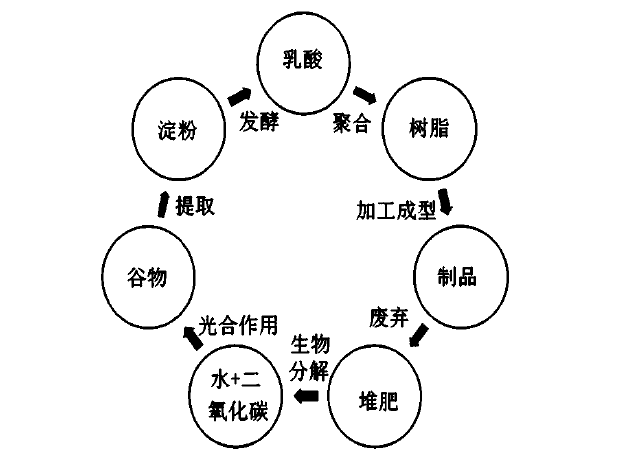 一文带你分清！到底什么是生物塑料、生物基塑料、生物降解塑料...