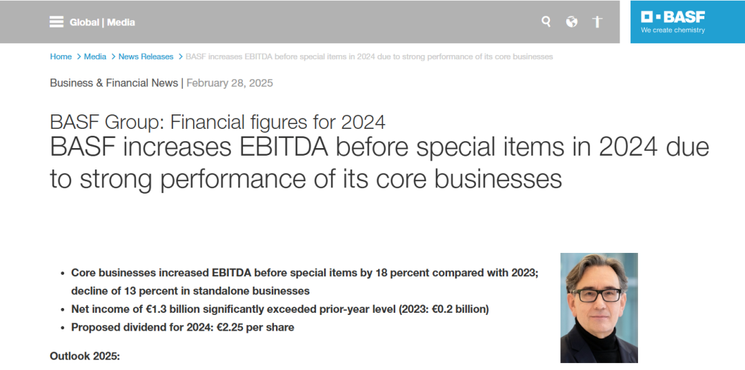 巴斯夫、陶氏、LG化学等20家化工巨头2024业绩汇总