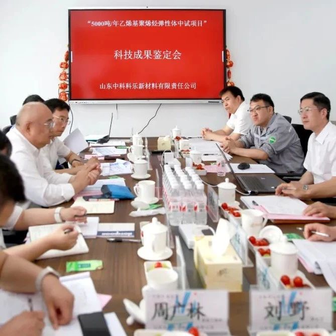 东明石化全球首发EPOE弹性体 国产高端化工新材料获权威认定