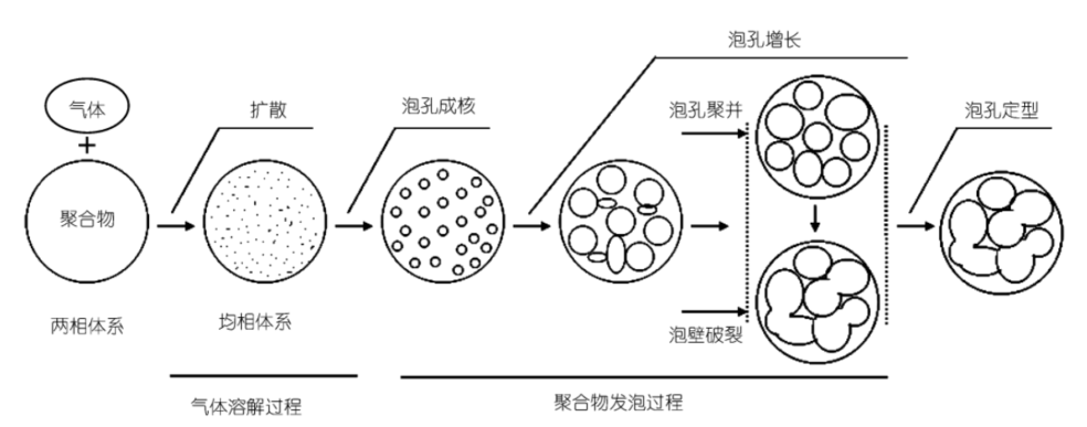 超临界流体CO₂及其在聚合物中的传质过程