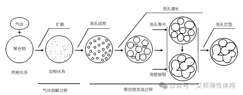 成核剂在超临界发泡领域的应用